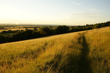 Obraz premium Field path