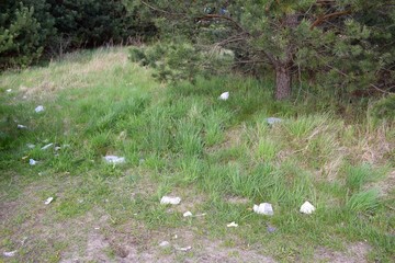 Environment in danger