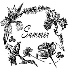 Drawing frame wreath of summer flowers irises and roses and meadow grasses, sketch of hand-drawn graphics ink vector illustration