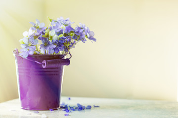 Bucket of flowers on the table with blurred background on a sunny day