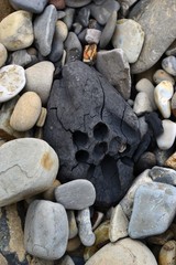 A piece of coal among the pebbles on the shore