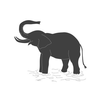 The black silhouette of an elephant on a white background