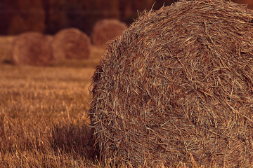 blurred background autumn field haystacks