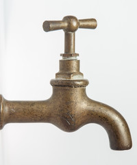 grifo antiguo