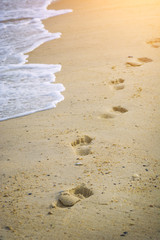 Footsteps of a child on a sand