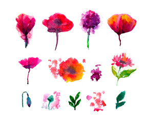 Obraz premium floral set. Collection with leaves.Spring or summer design for invitation, wedding or greeting cards.