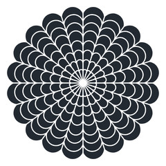 Spider web - Cobweb vector  on white background - illustration
