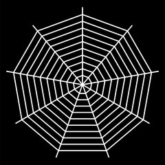 white spider web - Cobweb vector  on black background - illustration
