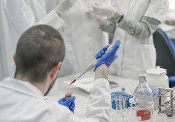 Group of scientists working with liquid test tube samples