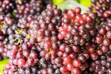 Bunches of fresh ripe red grapes, Red wine grapes background