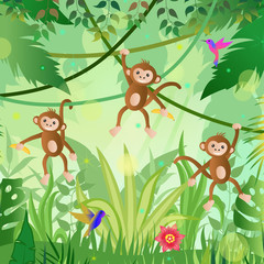 Jungle illustration. Jungle trees and plants. Monkeys and hummingbirds. Vector illustration.