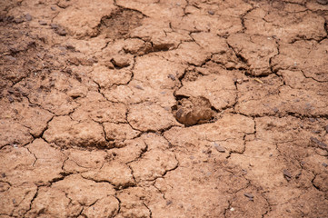 Close up of dry desert ground with cracks in it in the Negev desert of Israel