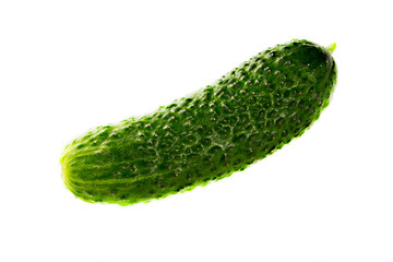 Cucumber isolated on white