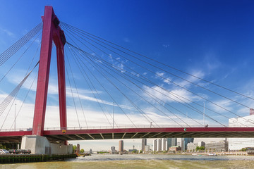 The bridge Willemsbrug in Rotterdam seen from the water