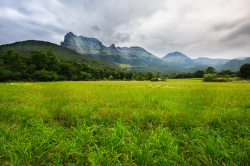 Fototapeta premium Beautiful meadow landscape near Ramales de la Victoria, Cantabria, Spain