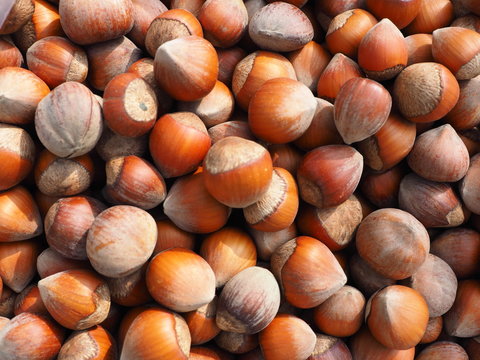 nuts