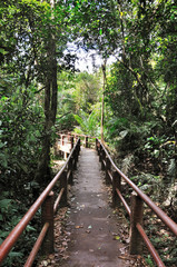 Walk way into the tropical forest in Thailand