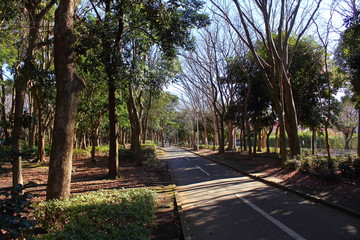 Obraz premium apartment, fine, culture, chiba, building, complex, blue, public, sky, japanese, japan, blue sky, apartment building, public corporation, gyoda, funabashi, entrance, steps