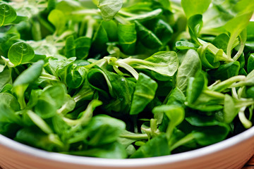 Close up image of basil in a white pot.