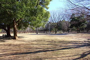 apartment, fine, culture, chiba, building, complex, blue, public, sky, japanese, japan, blue sky, apartment building, public corporation, gyoda, funabashi, entrance, steps