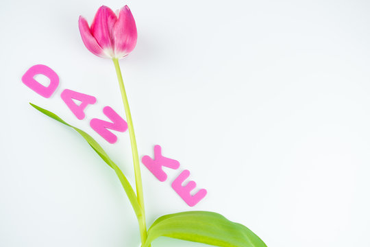 Das Wort Danke mit pink farbenen Buchstaben und einer Tulpe auf weißem Hintergrund