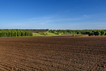 field meadow furrow birch agriculture