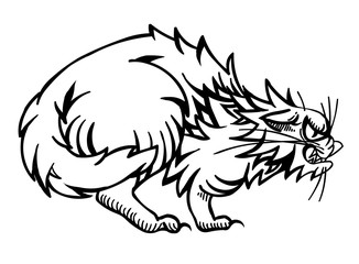 Cartoon image of angry cat. An artistic freehand picture.