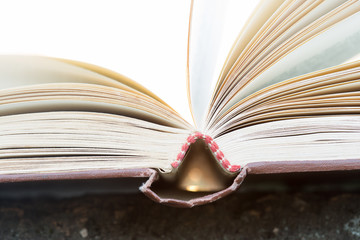 Education and wisdom concept - open book under sunlight