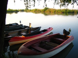 Fototapeta premium Barques amarrées dans un marais