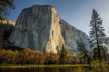 Mountain at sunrise with trees