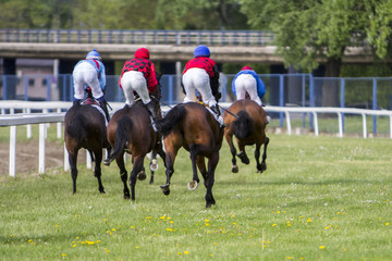 Race horses and jockeys during a race