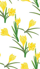 Yellow Crocus Flowers