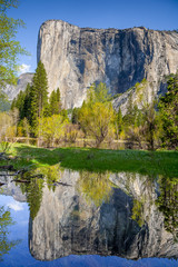 Mountain reflected in lake with trees