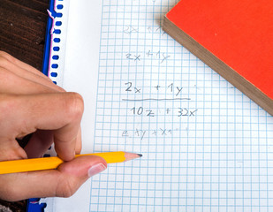 studying mathematics