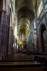 Fototapeta na wymiar St.Vitus Cathedral, Prague, Czech Republic.
