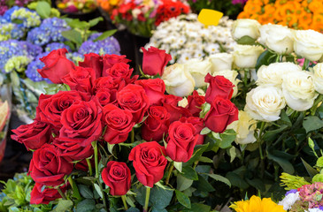 beautiful red roses at flowers market