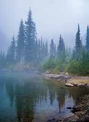 Trees reflected in lake in fog