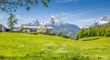 Idyllic summer landscape in the Alps with blooming meadows and farmhouse
