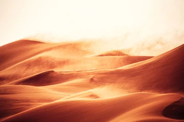 Foto auf Acrylglas Sandige Wüste Dessert und Sandsturm 6