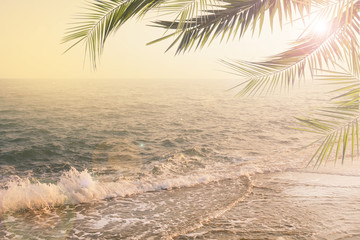 Fototapeta na wymiar vintage summer background with palms