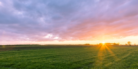 Fototapeta premium Sunrise in the field (light)