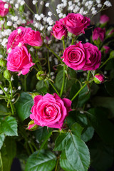 Wonderful bouquet of bush roses and gypsophila on a dark background. Selective focus. Shallow depth of field