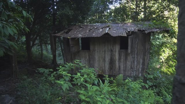 Abandoned Shack on a Nature Trail in Thailand, with Sound