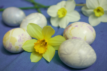 Obraz na płótnie Canvas Easter eggs with daffodils flowers on blue background
