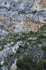 Fototapeta na wymiar Close-up of an overgrown rock at Desfiladero de los Gaitanes