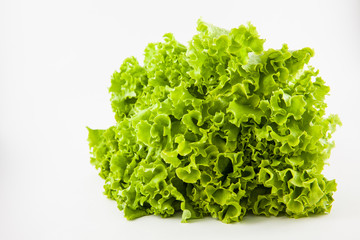 Romaine lettuce (Lactuca sativa) isolated in white background