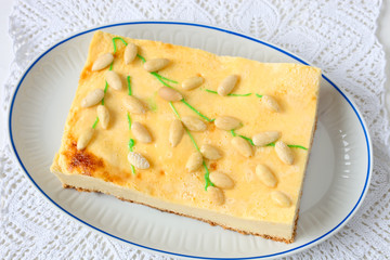 Käsekuchen mit Weidenkätzchen