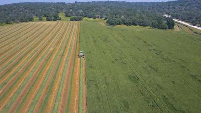 Combine harvester in a green field - Top down Aerial footage