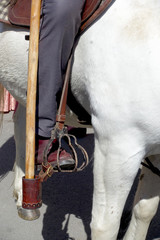 Gardian sur son cheval