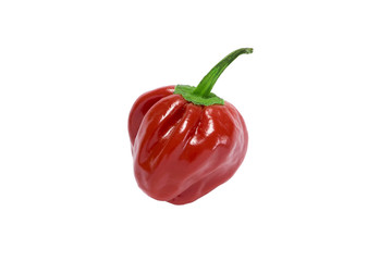 Chilli pepper on white background